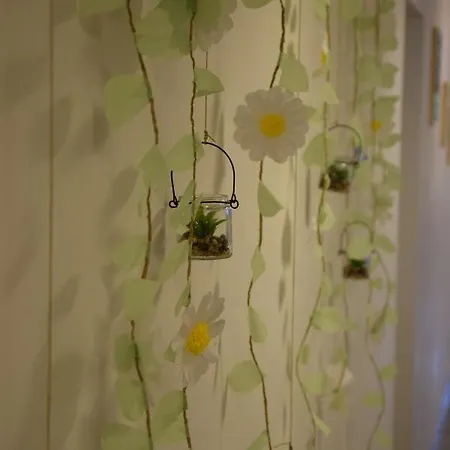 Dijaski Dom Portoroz, 波尔托罗