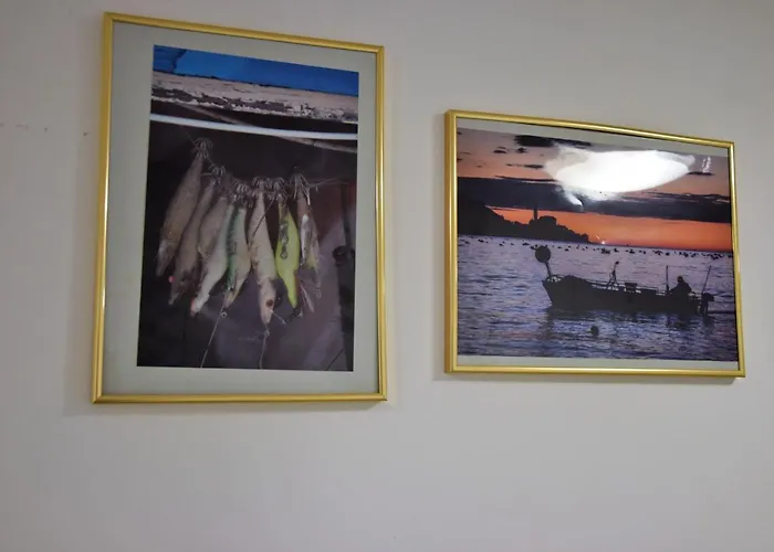 Dijaski Dom Portoroz, 호스텔 포르토로즈