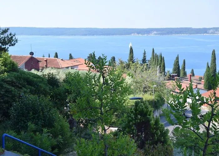 호스텔 Dijaski Dom Portoroz, *